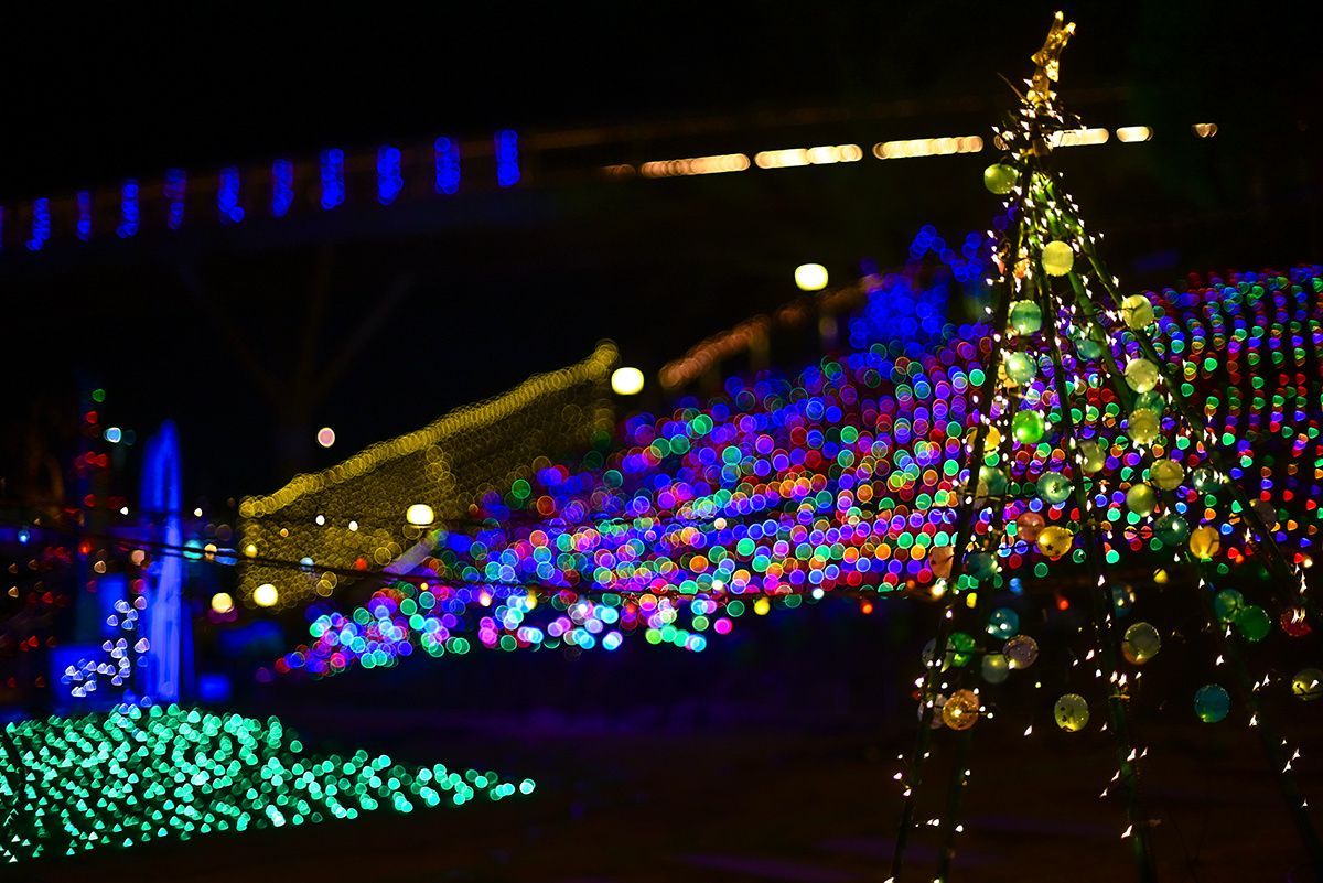 【2025イルミネーション in SAYAMA】
年末年始も狭山市駅西口市民広場などでイルミネーションが点灯しています✨期間は2026年1月12日まで。お近くにお越しの際は、ぜひご覧ください😊

city.sayama.saitama.jp/kankou/event/o…

#さやまのいいね
#linksayama
#狭山市
