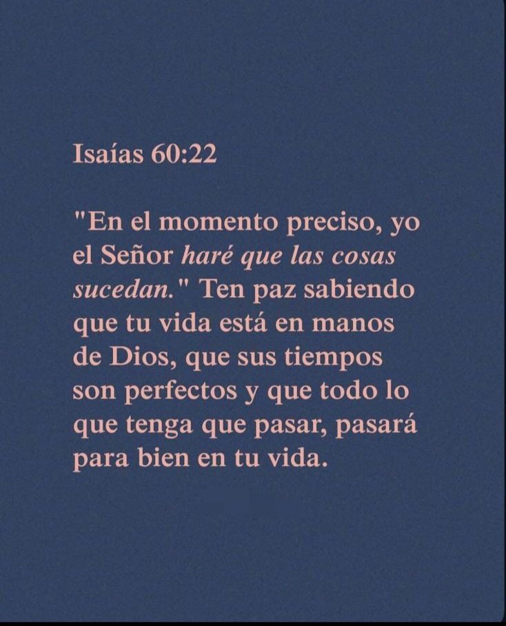 el Siervo (@elsiervo__) on Twitter photo 