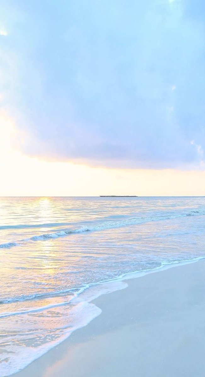 Alaa2009's tweet image. 早朝の静けさ、いいな 🦊