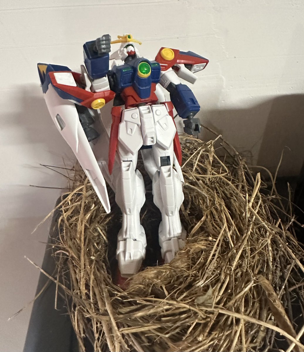 ฅ^•ﻌ•^ฅ ᴠᴋ tweet media