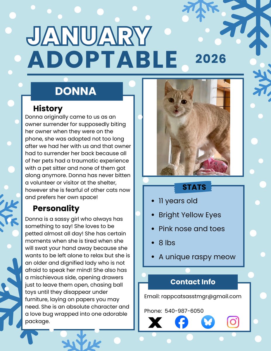 #HappyNewYear 
We want to shine a special light on miss Donna who deserves to find the perfect unique person for her perfectly unique personality!
#Share #AdoptMe #Virginia #Maryland #Unique