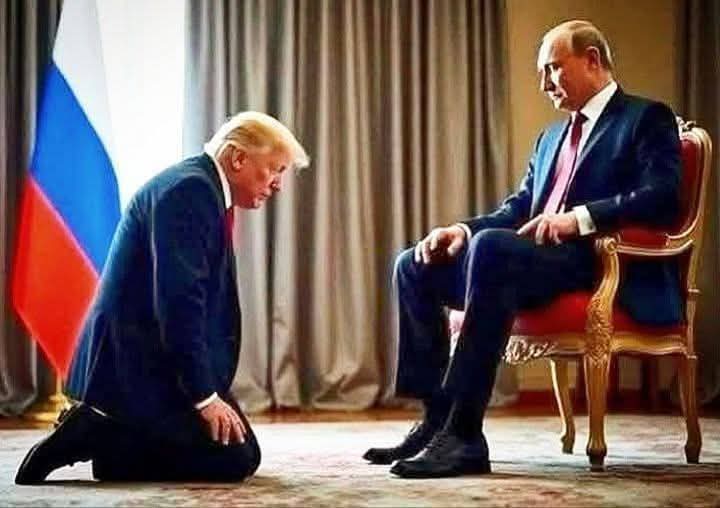 Would you support President 🇷🇺🇺🇸 Trump receiving the Nobel Peace Prize ?

YES or NO?