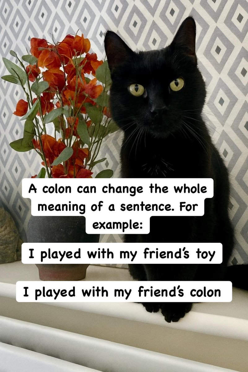 Bernardo Galaz tweet media