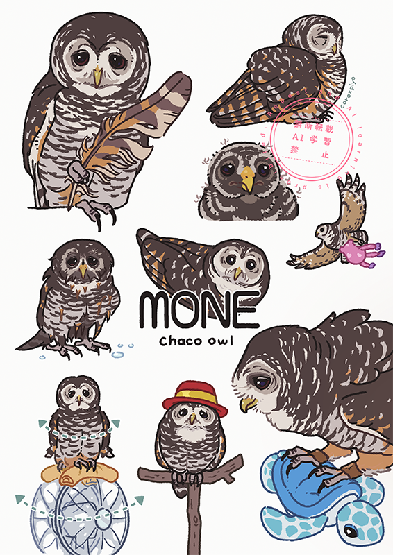 coroxpiyo's tweet image. 🦉🪶 #Skeb