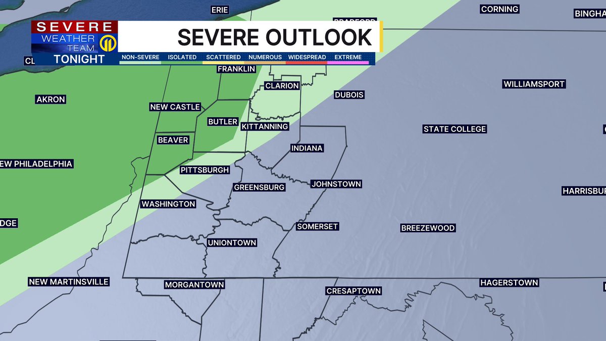 Stephanie Allison tweet media