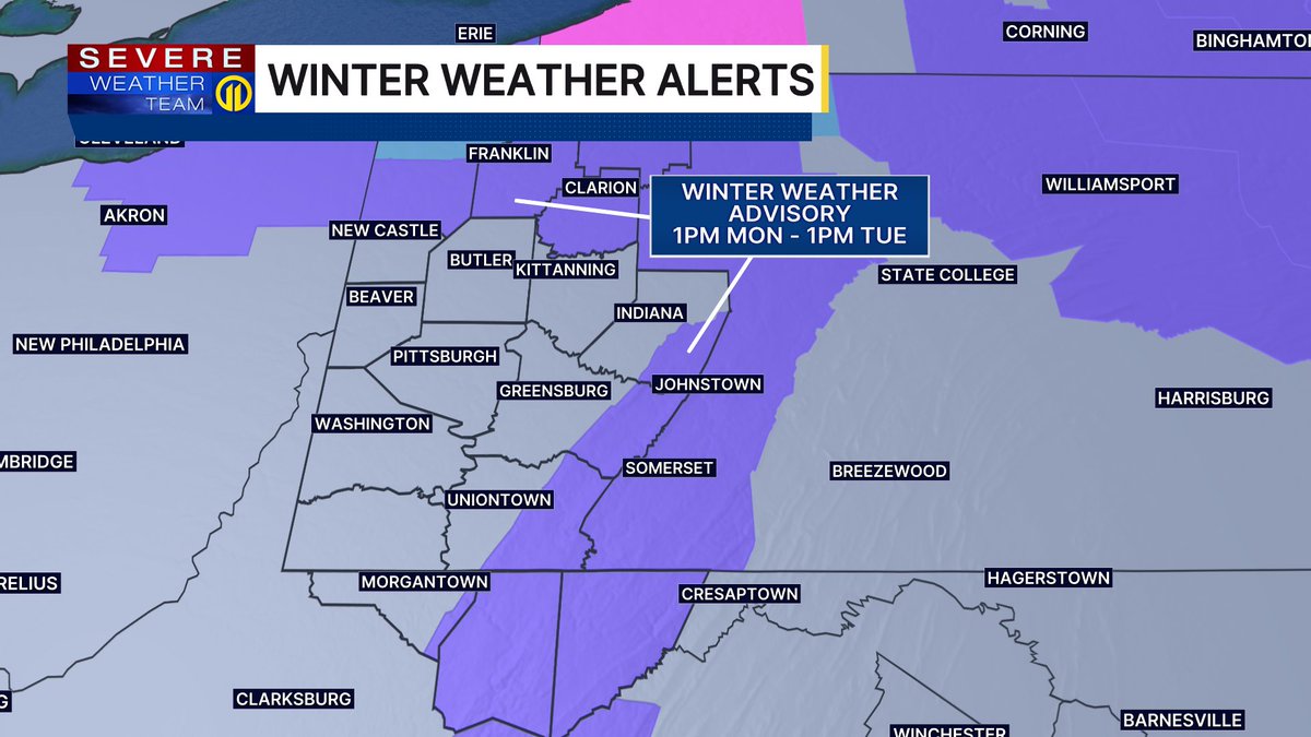 Stephanie Allison tweet media