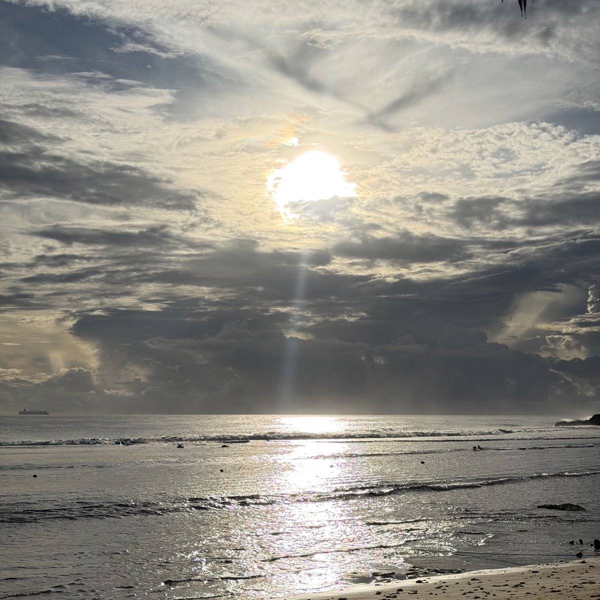 http_jshprg's tweet photo. 🏝️ https://t.co/wjrohALawd