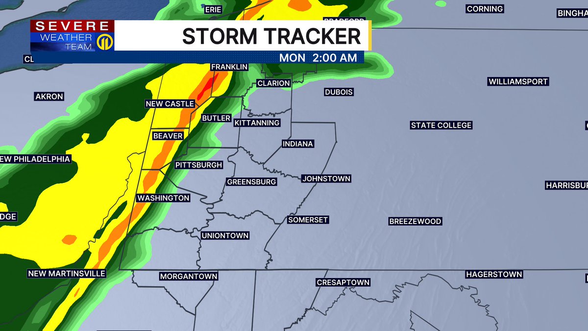 Stephanie Allison tweet media