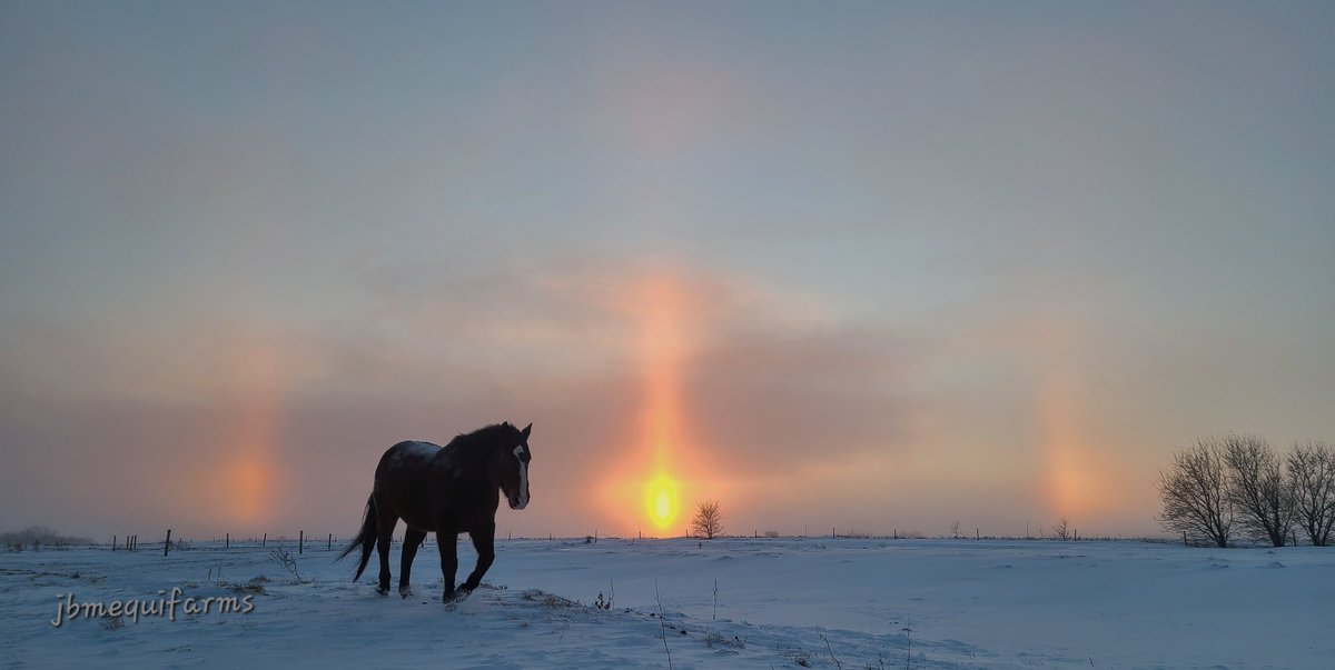 JBMEquiFarms's tweet photo. More snow, wind &amp; cold temps today were not enjoyable.

But, the sunset was stellar &amp; made up for it. 

#mbwx #Manitoba #horses #sundogs #arc #mbweather https://t.co/OgqlwCk7AK