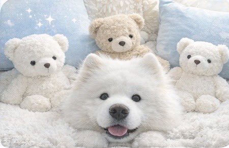samoyed_dazs's tweet photo. 生きたぬいぐるみが可愛すぎるのよ https://t.co/QrrUf0wJ1J