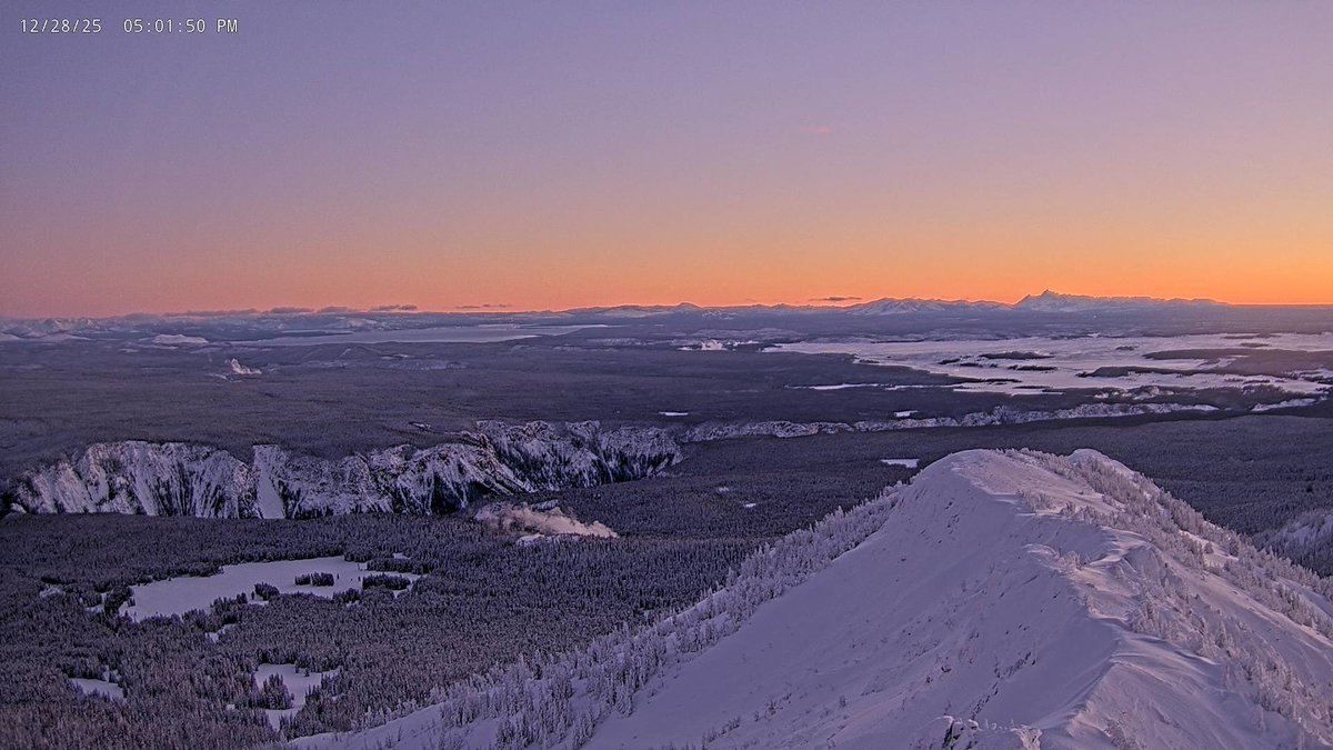 Beyond the Boardwalks: Yellowstone National Park tweet media