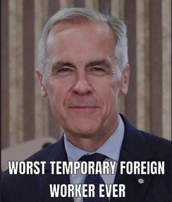 ConcreteXCrypto's tweet image. This is what our tax dollars are going to?

Another photo op so you can try to appear like a normal person

Fuck off and go back to Europe