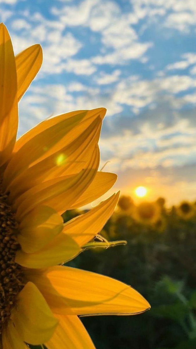 Numb_FeelingzZ's tweet image. Life is yours don't dance on someone's remote make own kingdom 
 it's your responsibility enjoy the path
#LoveXReality