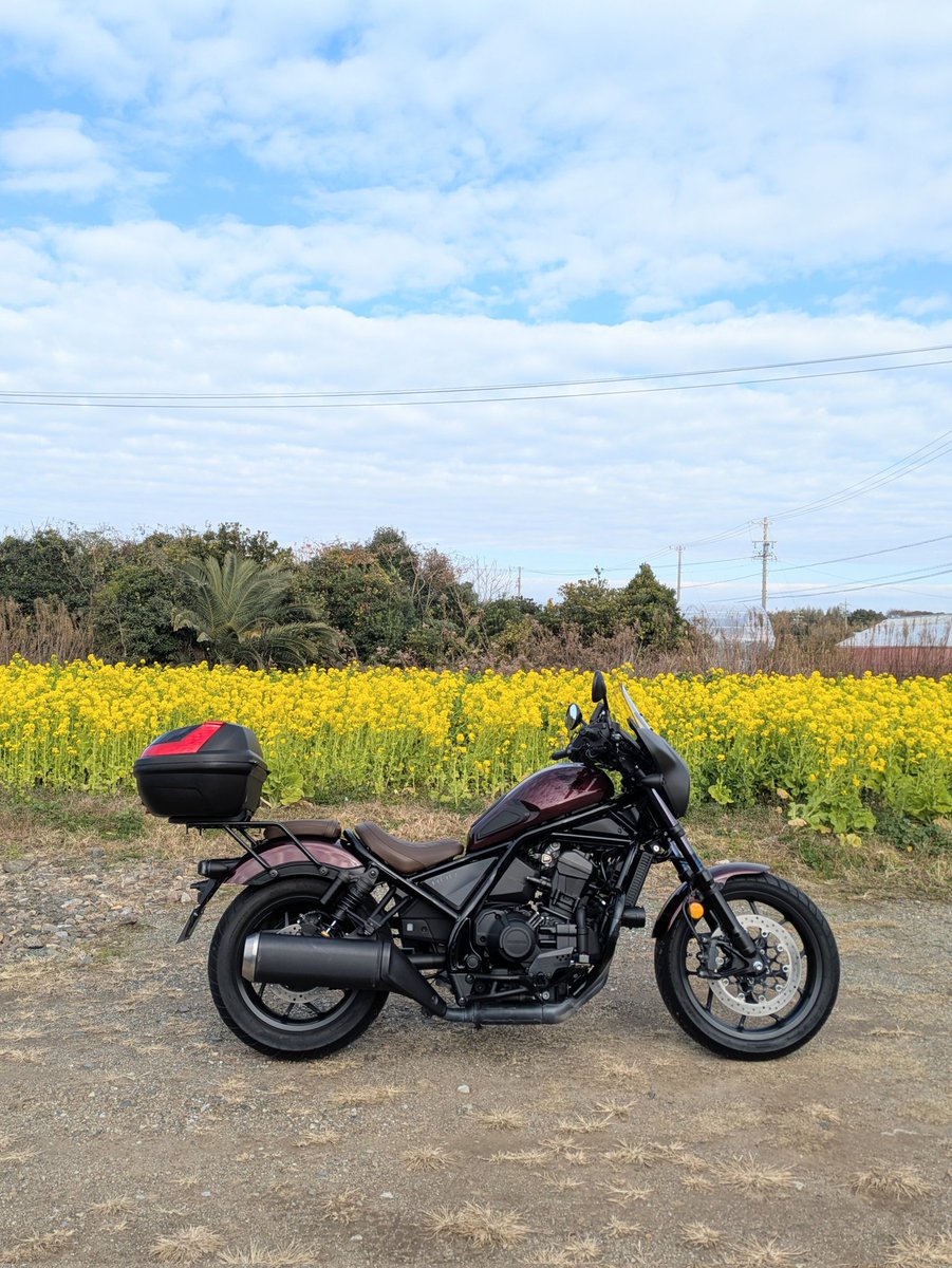 よよR-44 (@risunosuke41) / Posts / X