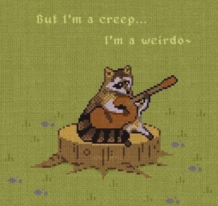 Why you should have a Raccoon tweet media