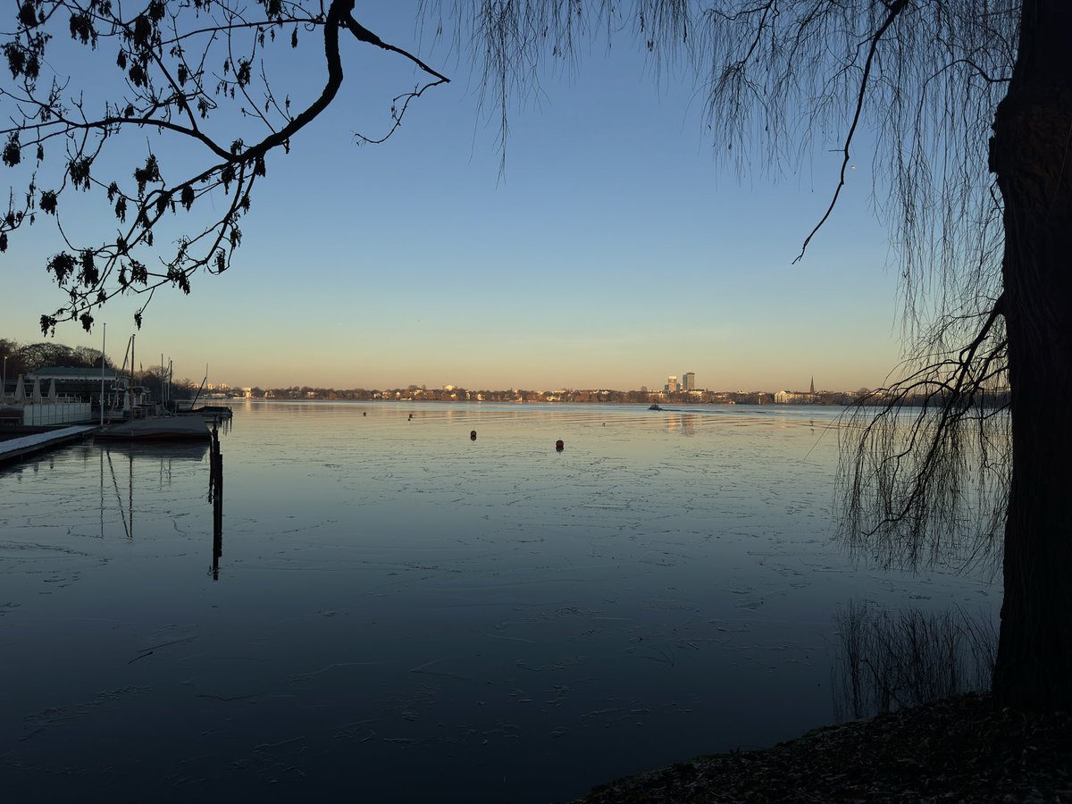 literallyjuste's tweet image. 