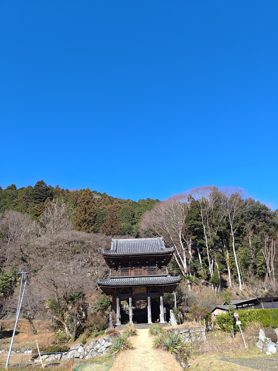 酒の買い出しの帰り道。鄙びていてとても良い。ここは好き。