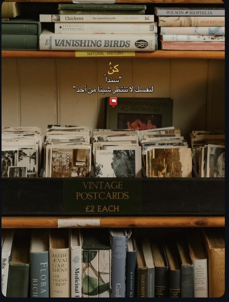 *تعلّم كيف تتجَاهل و كَيف تَقِف وحيداً دُون مُساعدةِ أحَد تعّلم ألا تعِيش عَلى الإنتظار و لا تكون هامش بحياةِ أحد*.
#صباح السعادة 💙✨