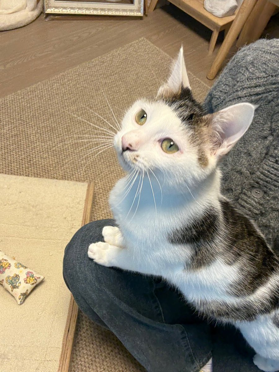 애용이 평생 가족찾기🏠 tweet media