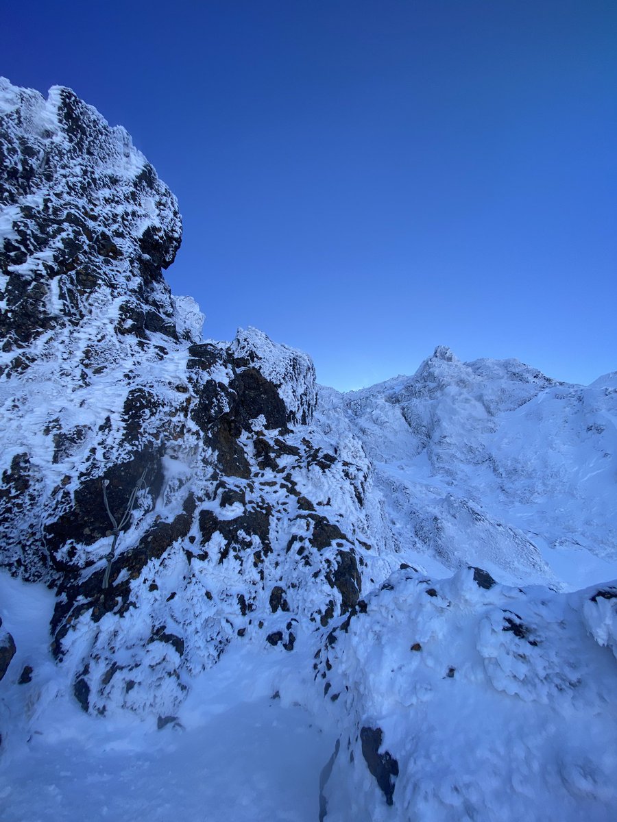 オムツァー (@omutuxa) / Posts / X