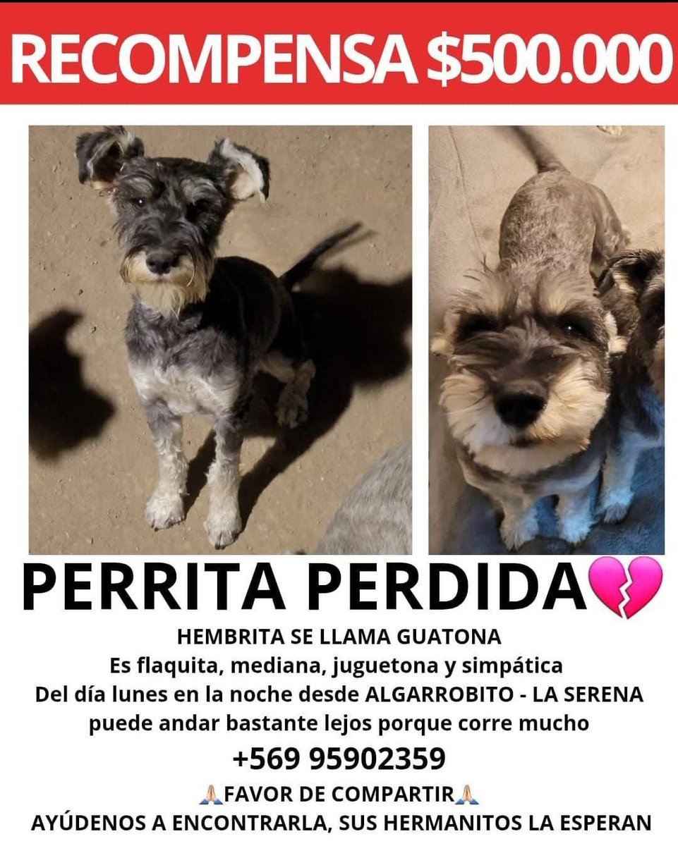 Eve Torres 🇨🇱 (@evelyn_torres_h) on Twitter photo 