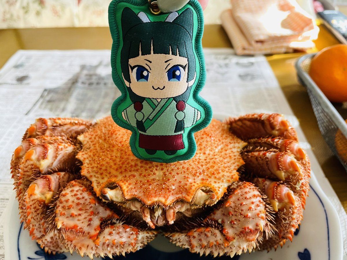 Post by ましか on X: 蟹を討ち取った猫