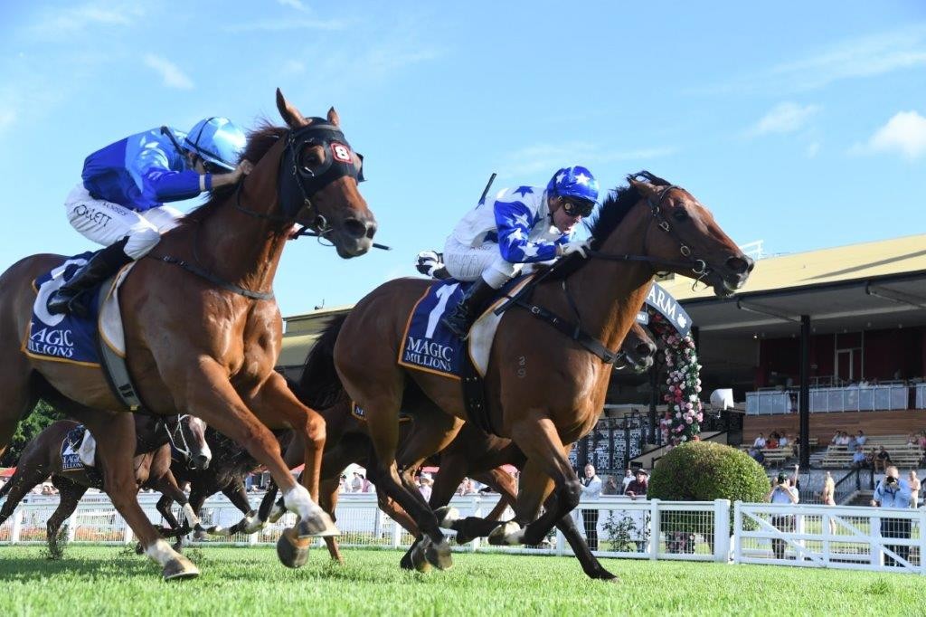 tonygollan's tweet photo. 💥TRACKSIDE WINNER OF THE WEEK 💥
Our #WinnerOfTheWeek presented by Trackside Photography is Hidden Wealth!
Hidden Wealth won the Listed Falvelon over 1200m at Eagle Farm on Saturday ridden by Ryan Maloney & strapped by Taylor Ratten.
▶️ https://t.co/4U4DFAZkVE https://t.co/Ha48Z3n3vM
