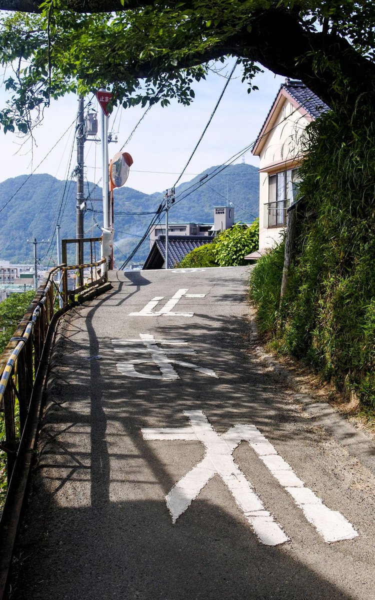 Cathsimsen's tweet image. 4980円損した☀️ 🦢