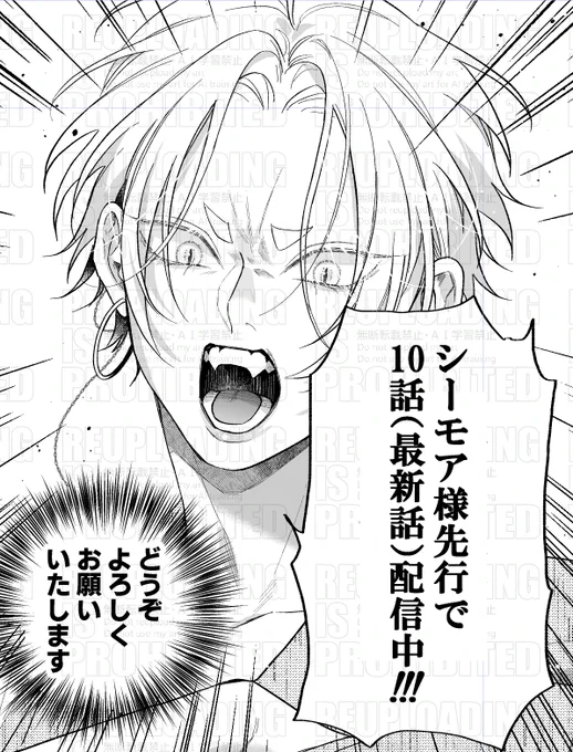 年末年始のお供にぜひ🤍
(ツリーにリンク繋げます) 