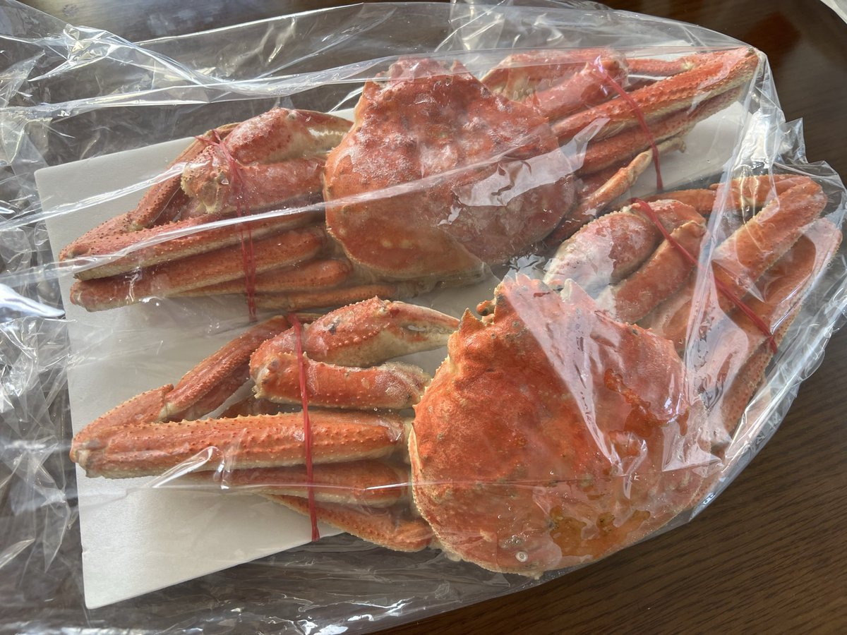 ジロー (@JiRo_ym) / Posts / X