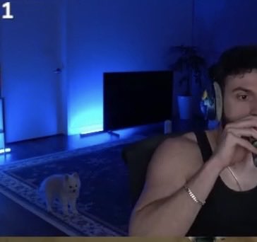 Reena 🐉🌼🍀✨ tweet media