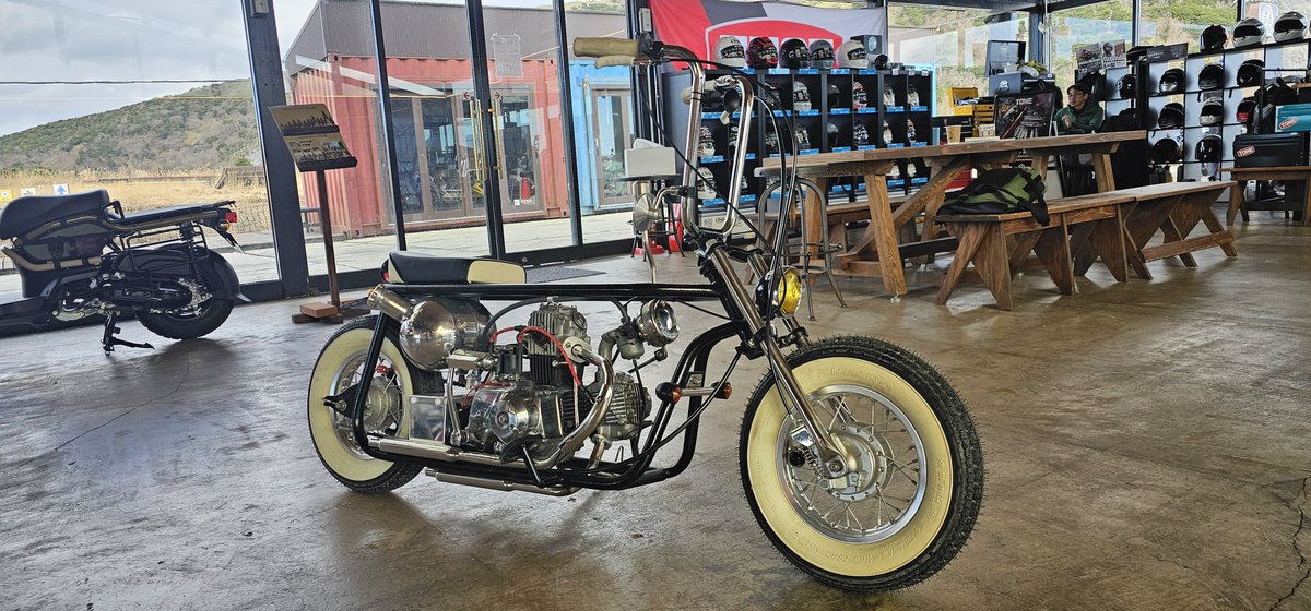 1月組が揃いましたね。 2月組も楽しみですが、新年4日から営業の