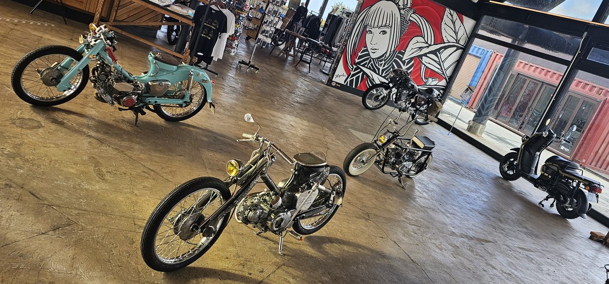 1月組が揃いましたね。 2月組も楽しみですが、新年4日から営業の