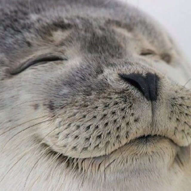 Thinking about this for while