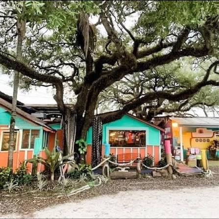 AdamSFulton1982's tweet photo. At,,The Skippers Smokehouse in Tampa, Florida.. Pretty Cool!! Adam Fulton and David Fulton, Tom, Scott.. Sunday, December 28th, 2025!!🌴🌴🌴🌴 https://t.co/QjGF13suyK