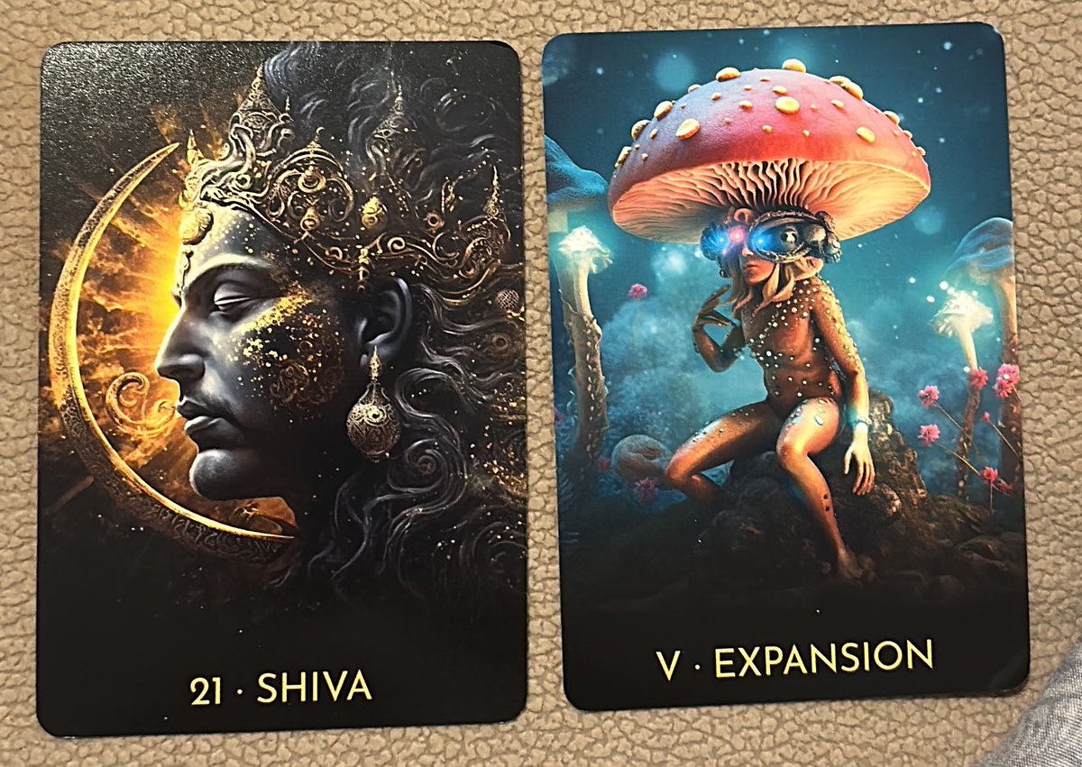 Mimosa 🪭 tweet media