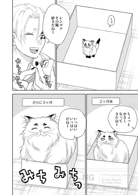 猫レンゴクのいる暮らし)お気に入りの箱

今年もあと少しなので、私のお気に入り猫レンゴクベストセレクションを再掲してみます🐱(ベスト3のつもりだったけど絞れませんでした💦)
2つめはこちら✨ 