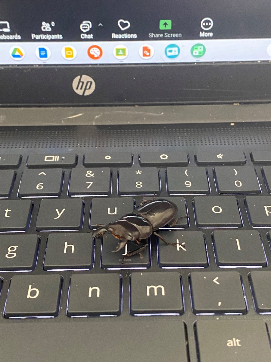 he is At Work❤️❤️❤️❤️❤️❤️❤️🥹🥹finding Hot Single Dorcuses in the Area 🗺️!!!!!!!!