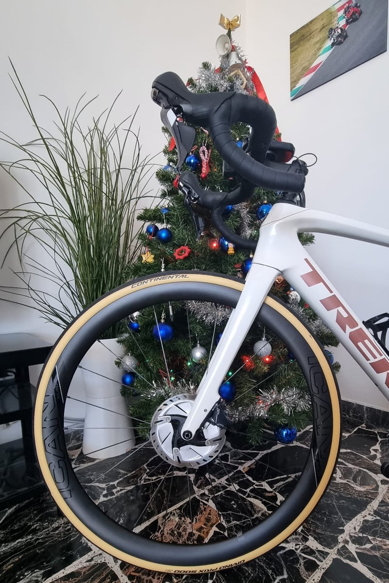 icancarbon's tweet photo. 🎄✨
FL40 Ⅱ とクリスマスツリー。
一年の締めくくりに、軽やかな走りを。
 年末年始キャンペーン開催中。

#ICAN #FL40Ⅱ #ロードバイク #年末年始
https://t.co/IlahULGEK6 https://t.co/Wzjil3eCfo