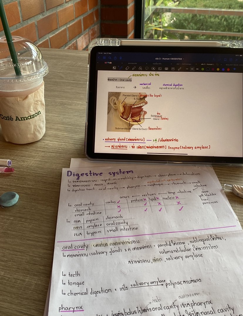 pepeurepure's tweet image. recap 22 - 28 december

🍭สอบมิดเทอมจบเเล้วสักที คือเบื่อมิดเทอมมากเอาดี ที่สุด อยากมาเก็บเนื้อหาต่อเเล้ว เอาจริงๆนี่เครียดฮื่อออTT เเต่ก้เก็บไเรื่อยๆนั้นเเหละเอาที่ไหวเนาะ[29:49hr]