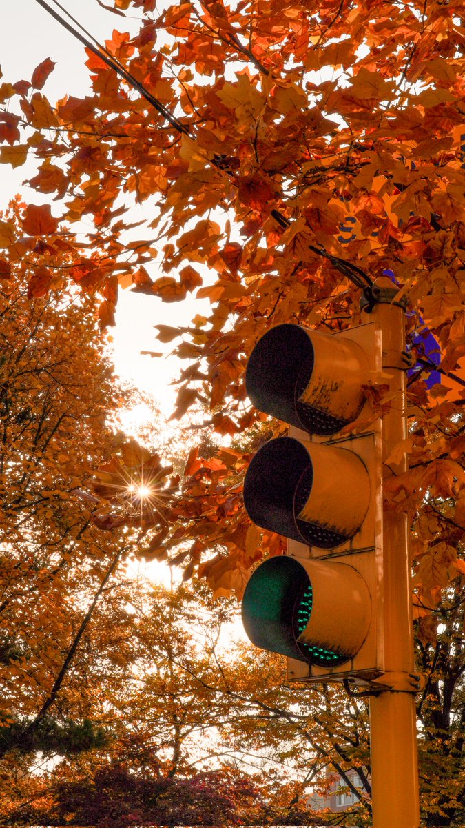 글라☪️🤍 tweet media