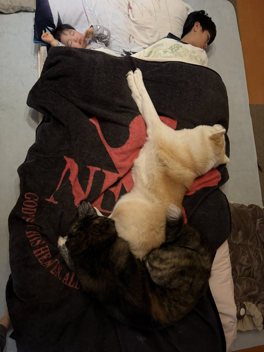 ْ (@65907_30_4) / Posts / X