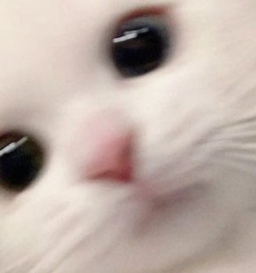 kvvren's tweet image. ちょっと前まで片付けしてたけど、眠くなったから休憩
コーヒー飲んでひと息
またやろう🌙 👩‍🦱