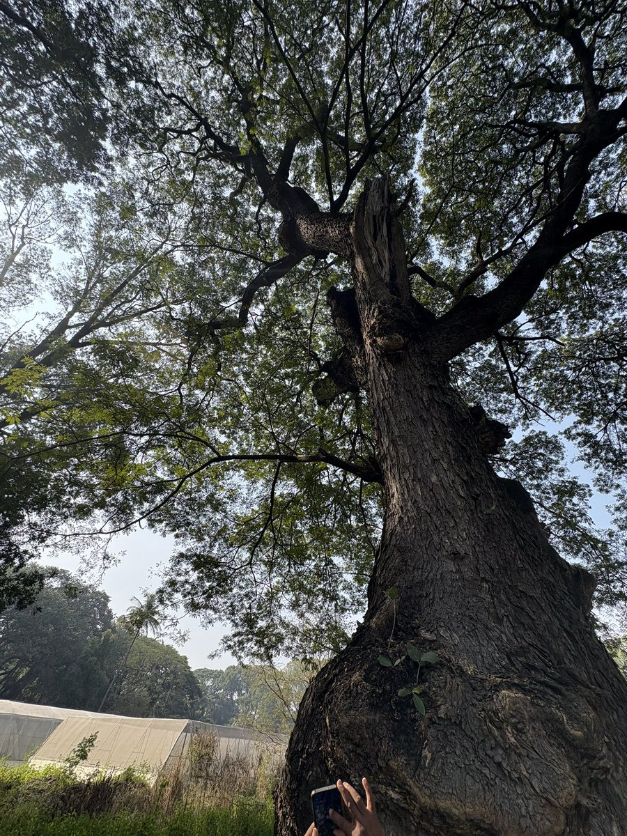 ameetgsingh's tweet image. Rivers of Pune 

•Pune has five rivers, they merge into one called the Mula-Mutha. They want to build a road along the river bank on the river bed. Archimedes Principle:. In case the River gets choked Pune will drown. 

•All these rivers have been dammed upstream.
•These dams…