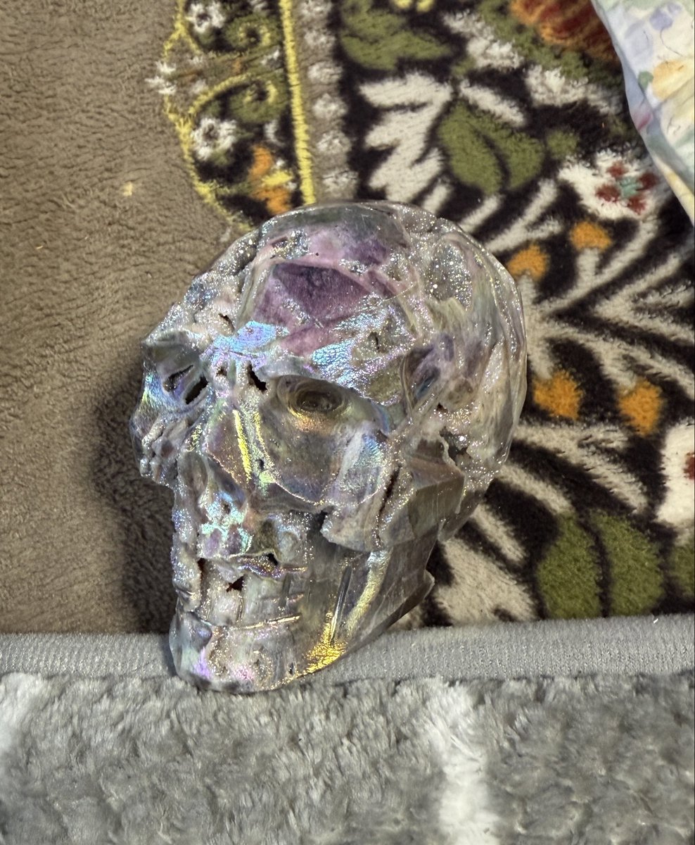 ポン太 (@totokoponpon) / Posts / X