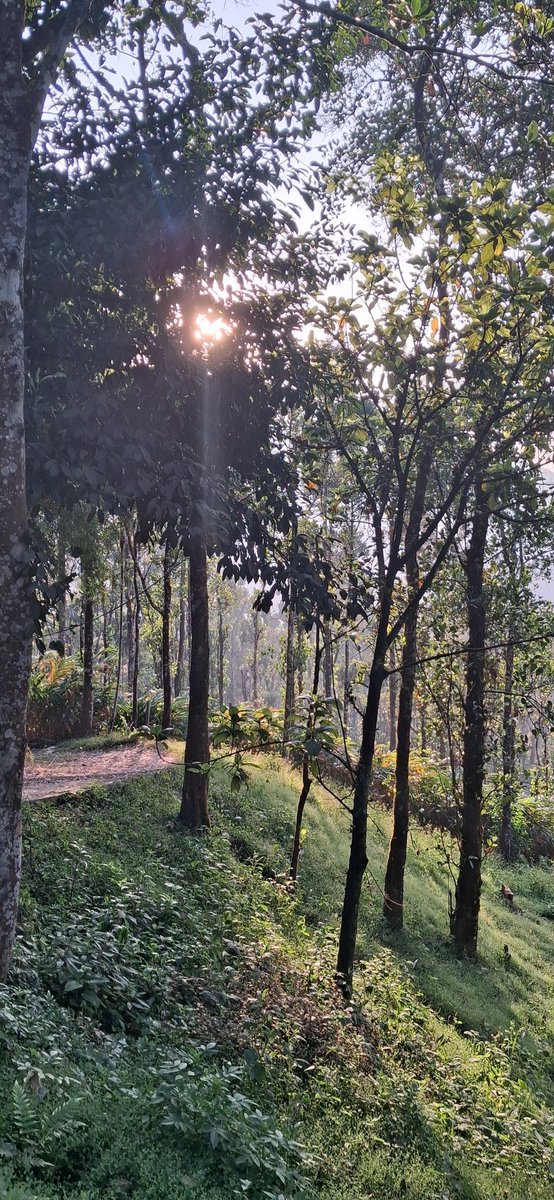 ibalamurugan72's tweet photo. பச்சை நிறமே!
பச்சை நிறமே!!!
#Munnar
#MunnarClimate https://t.co/0VyYsLYFcF