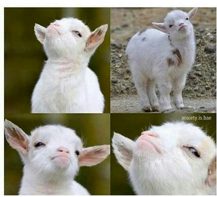 me when my $420 in Crypto become $435 overnight 
( it was $1200 last month )