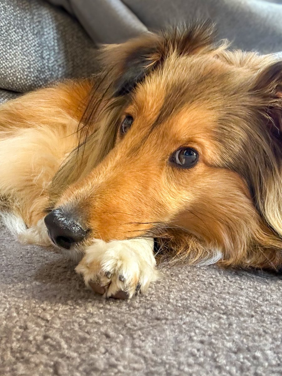 yujibi's tweet image. おはよう(イチャイチャタイム)