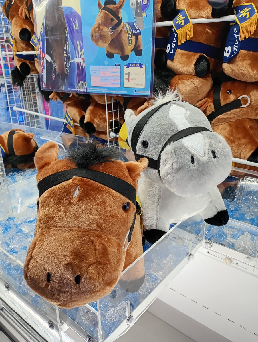 みなさま‼️昨日の #有馬記念 ご覧になりましたか❓️ 当店で展開中の
