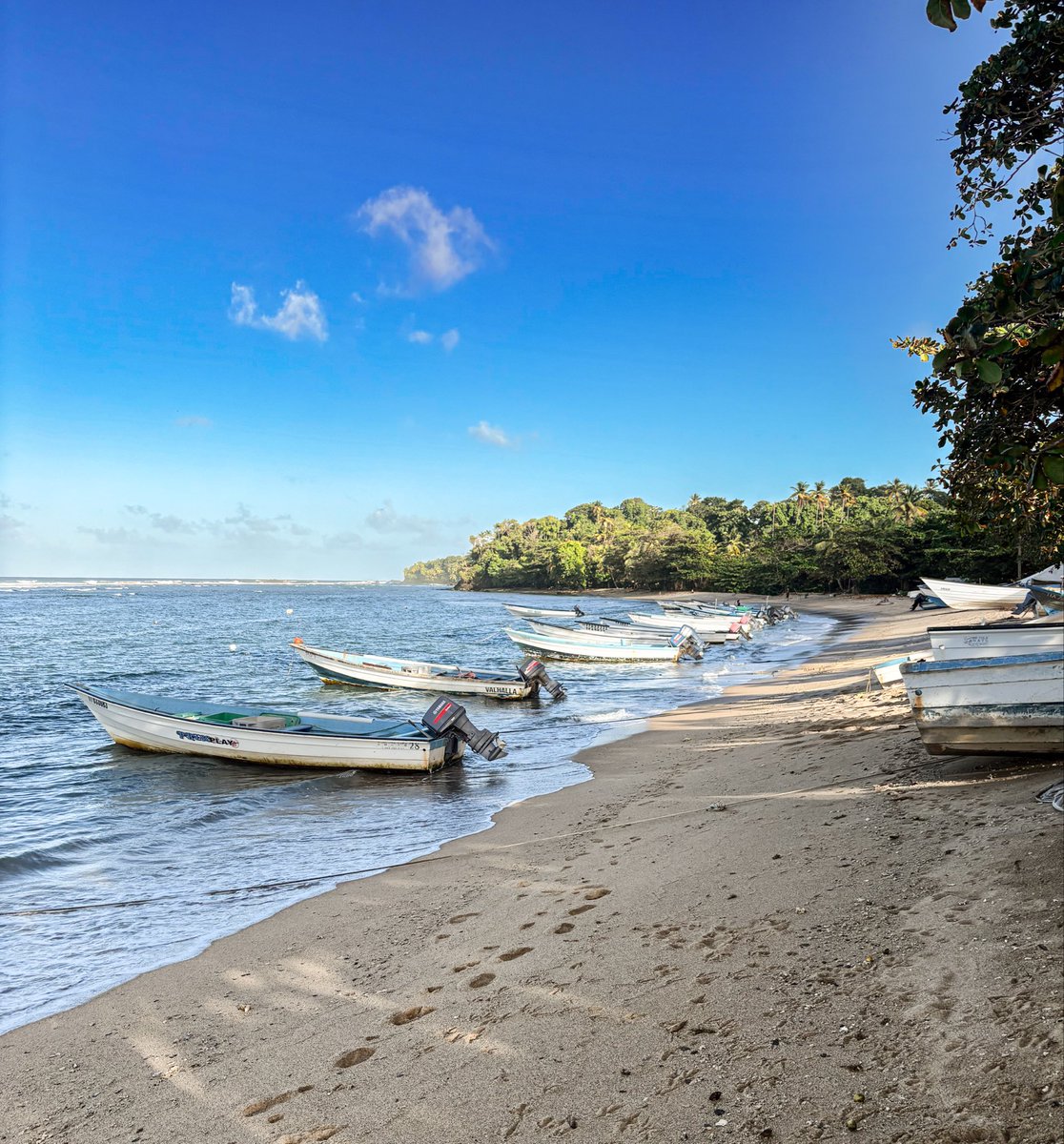 AJayy🥰JIMIN IS BACK🥰 (@minie_jayyy) on Twitter photo 